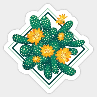 Blooming cactus 2 Sticker